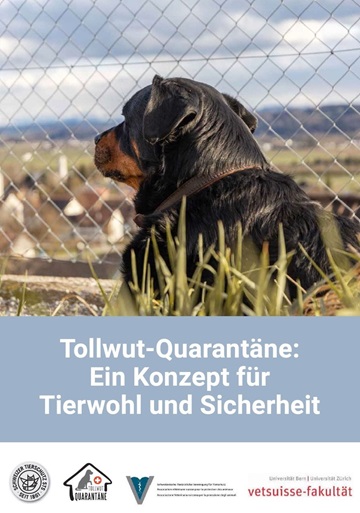 Titelseite des Konzept Dokuments